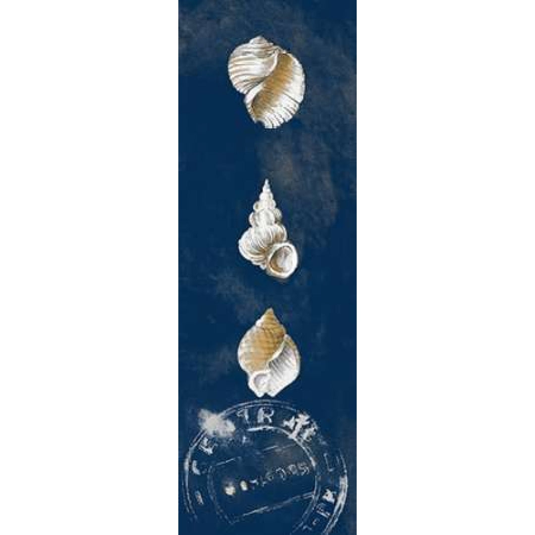 Coastal Shells Panel I Poster Print by Lanie Loreth-VARPDX8598M Image 1