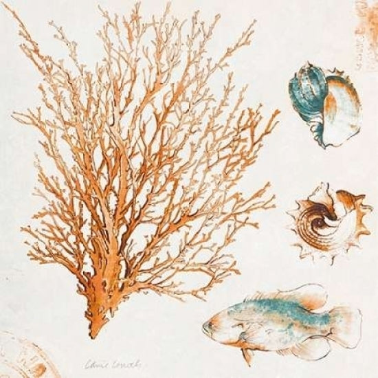 Coastal Teal Coral IV Poster Print by Lanie Loreth-VARPDX8599EE Image 1