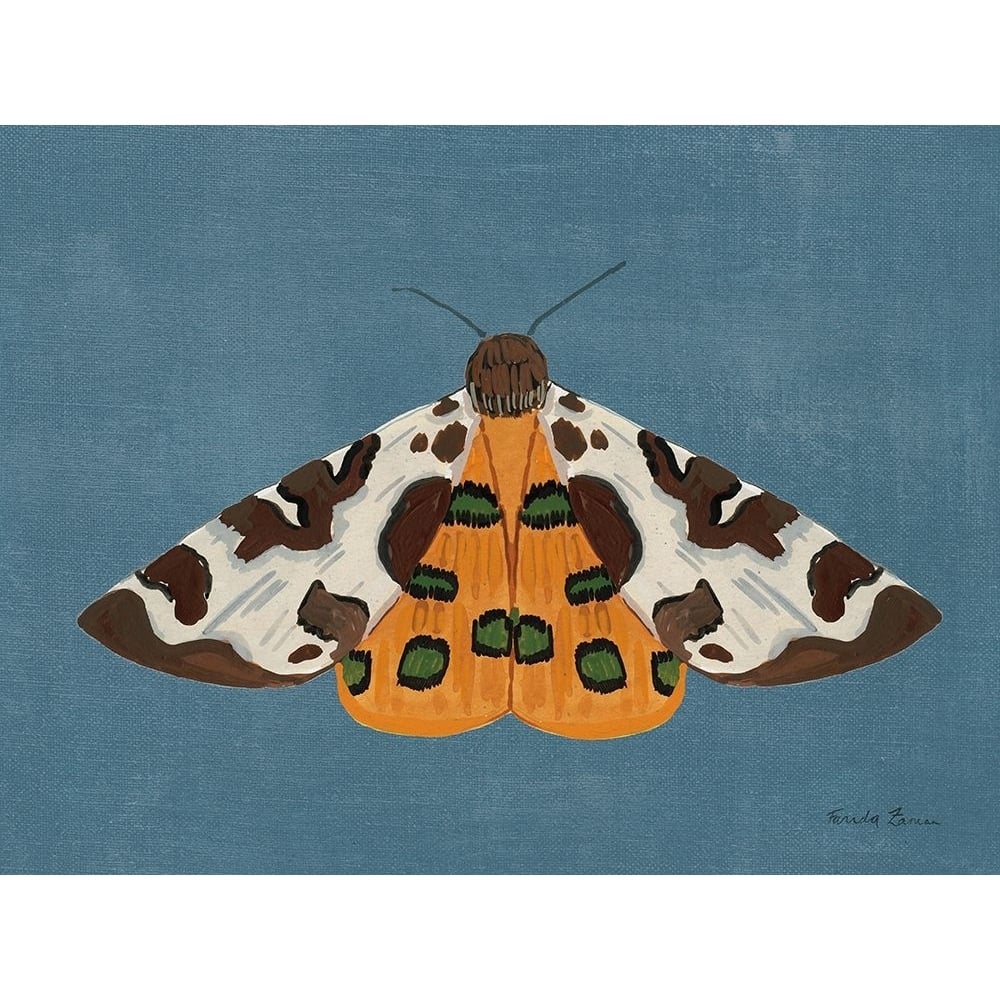 Textured Moth II Poster Print - Farida Zaman-VARPDX86013 Image 1