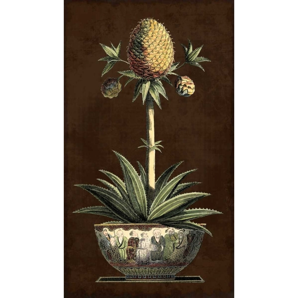 Potted Pineapple I Poster Print - Studio Vision-VARPDX86040Z Image 1