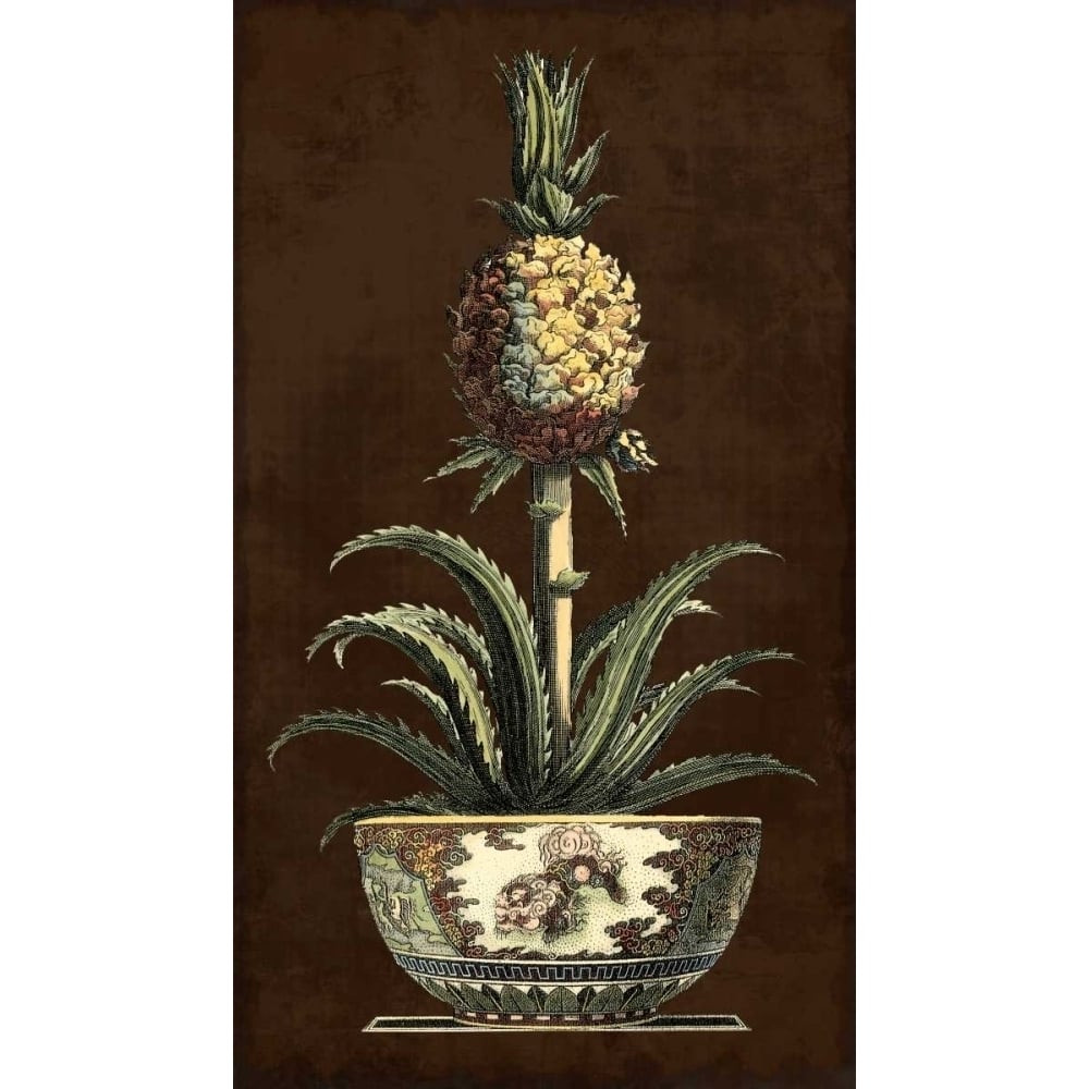 Potted Pineapple II Poster Print - Studio Vision-VARPDX86041Z Image 1