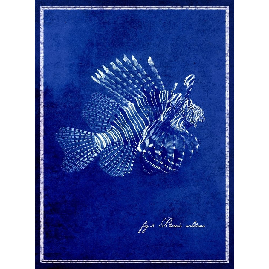 Marine Collection D Poster Print - ArtLab GI-VARPDX86235 Image 1