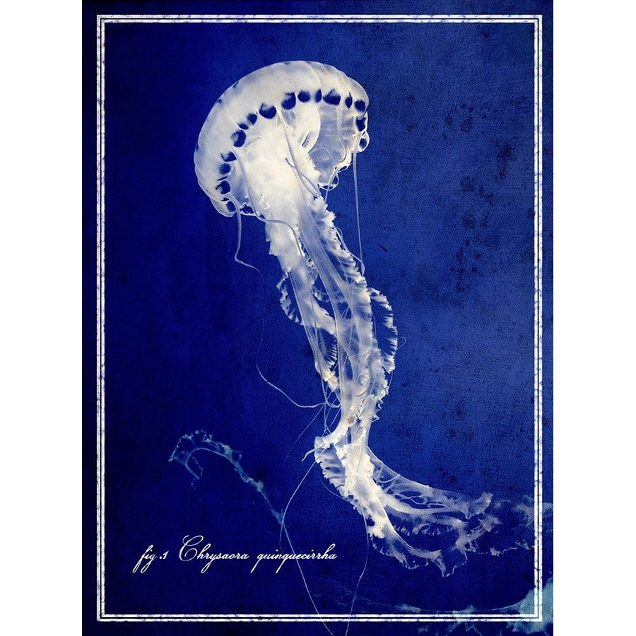 Marine Collection E Poster Print - ArtLab GI-VARPDX86236 Image 1