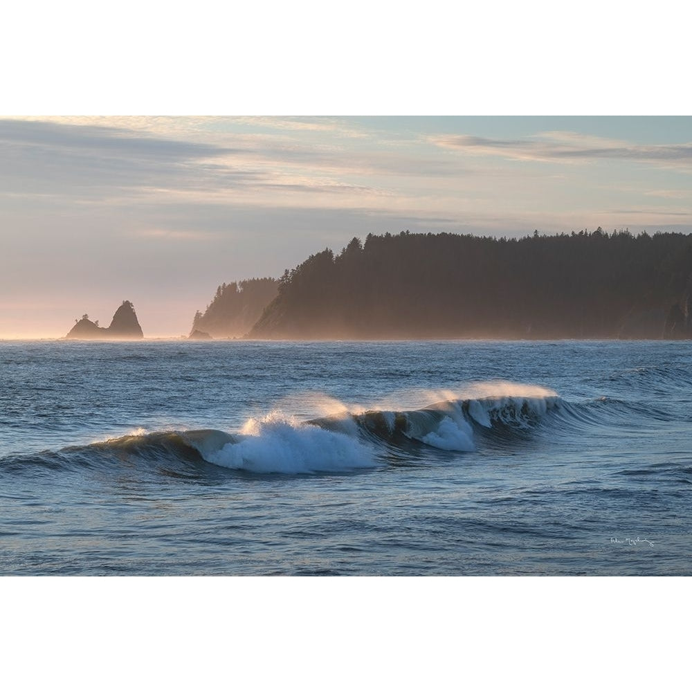 Rialto Beach Waves Poster Print - Alan Majchrowicz-VARPDX86303 Image 1