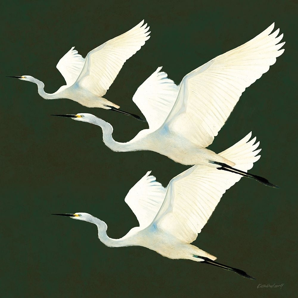 Egrets Alighting II on Green Poster Print - Kathrine Lovell-VARPDX86428 Image 1