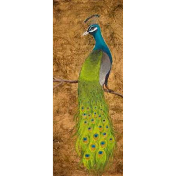 Peacocks I Poster Print by Josefina-VARPDX8648 Image 2