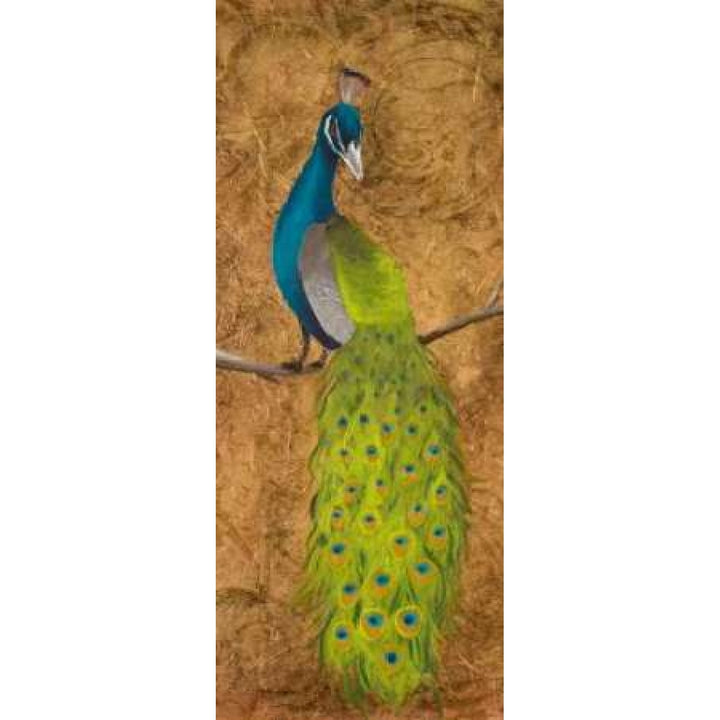 Peacocks II Poster Print by Josefina-VARPDX8649 Image 2