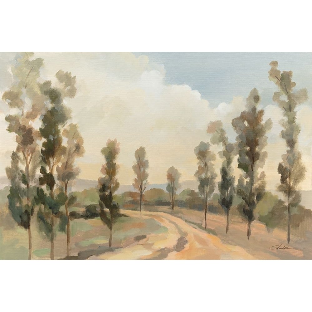 Poplars by the Road Poster Print - Silvia Vassileva-VARPDX86523 Image 1