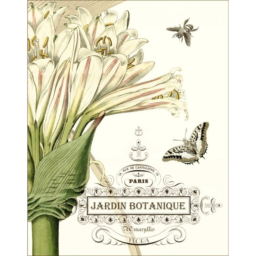 Jardin Botanique II Poster Print - Studio Vision-VARPDX86537Z Image 1