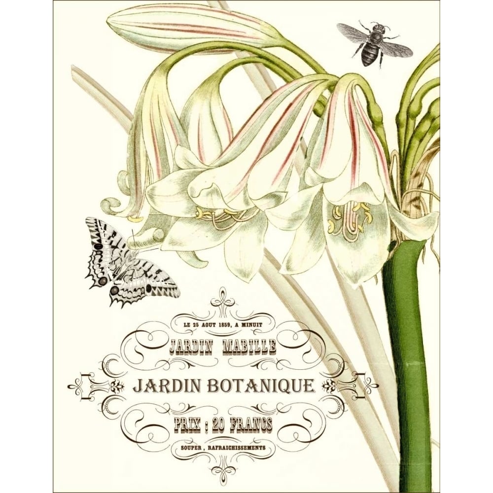 Jardin Botanique I Poster Print - Studio Vision-VARPDX86536Z Image 1