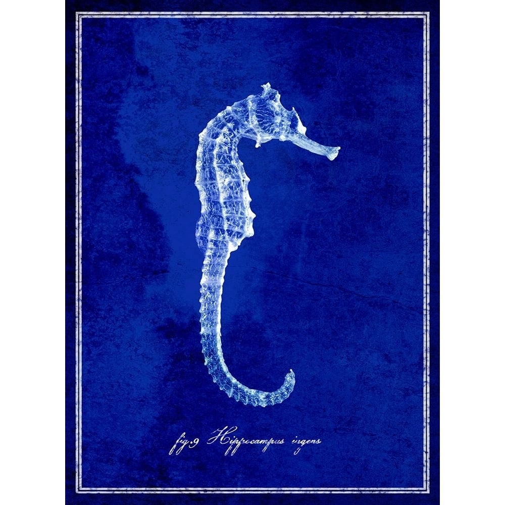 Seahorse Poster Print - ArtLab GI-VARPDX87134 Image 1