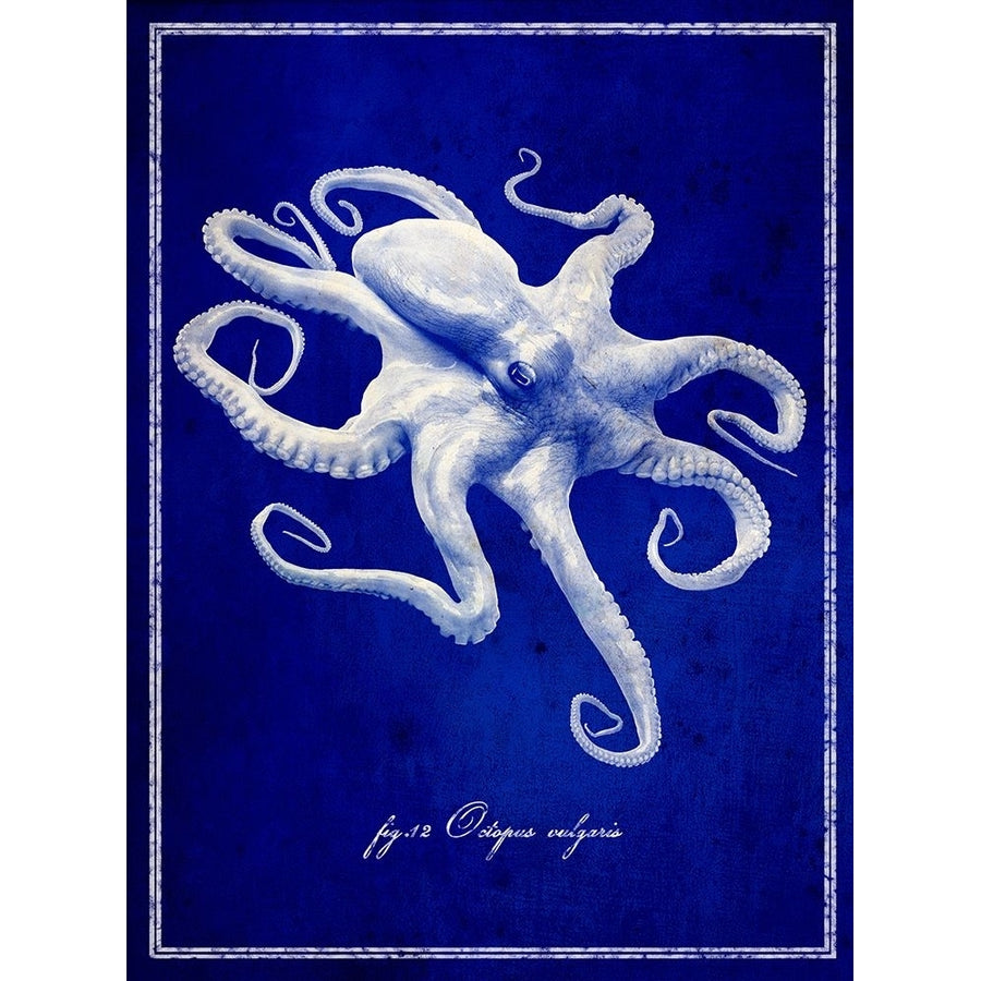 Octopus Poster Print - ArtLab GI-VARPDX87135 Image 1