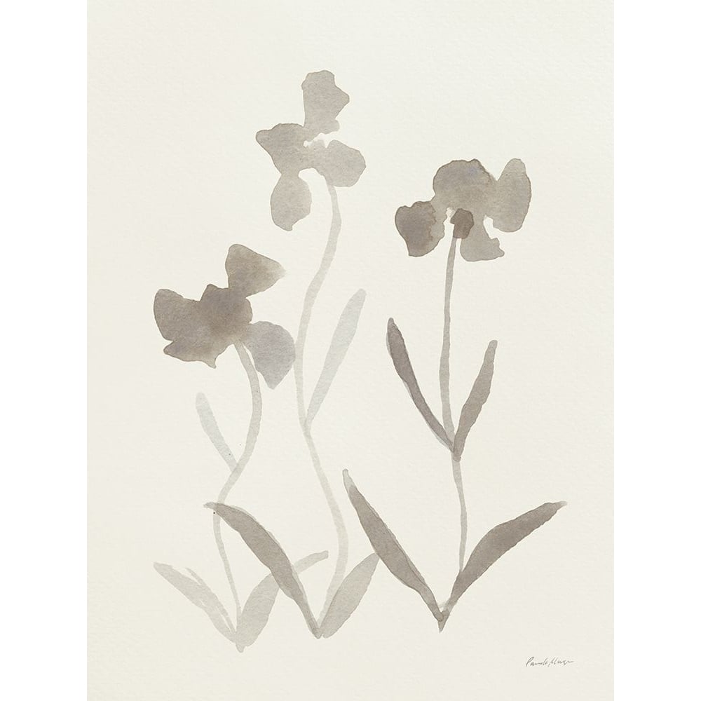 Gray Florals I Poster Print - Pamela Munger-VARPDX87310 Image 1