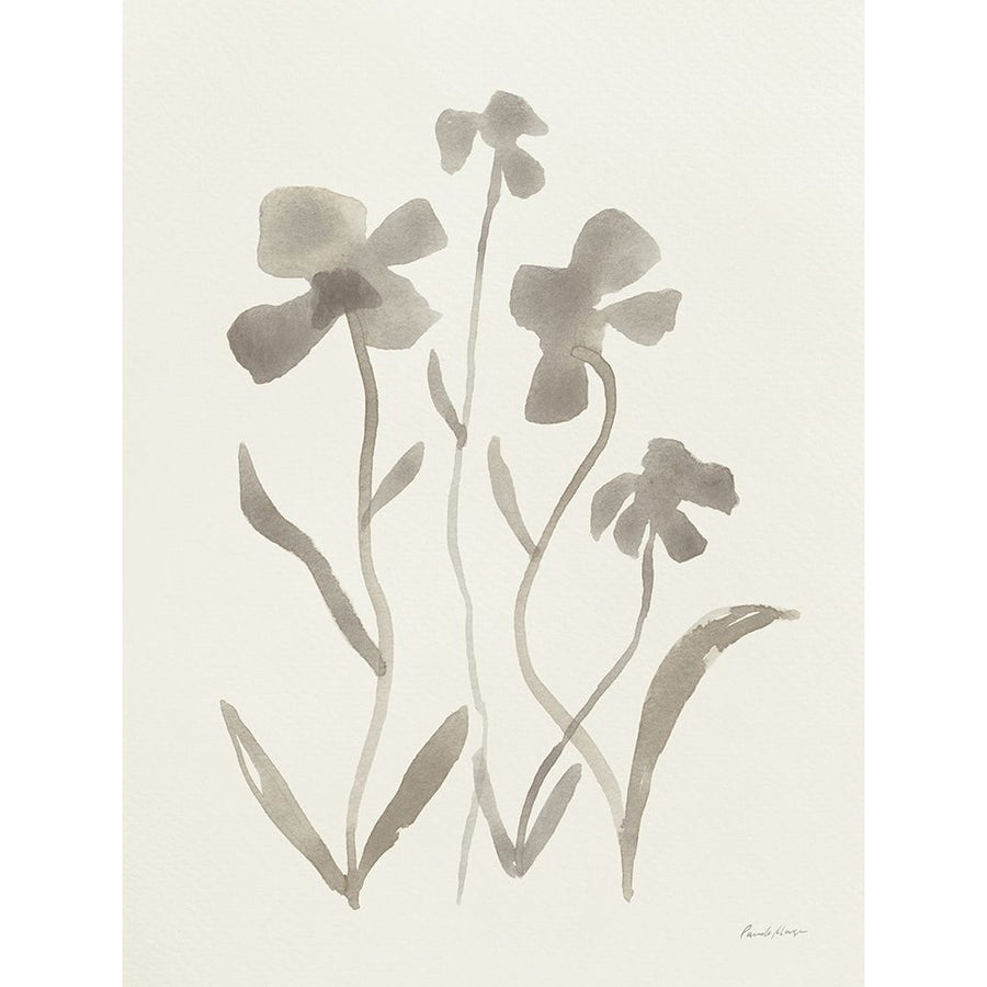 Gray Florals II Poster Print - Pamela Munger-VARPDX87311 Image 1