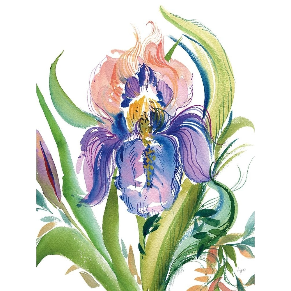 Wild Iris Poster Print - Kristy Rice-VARPDX87466 Image 1