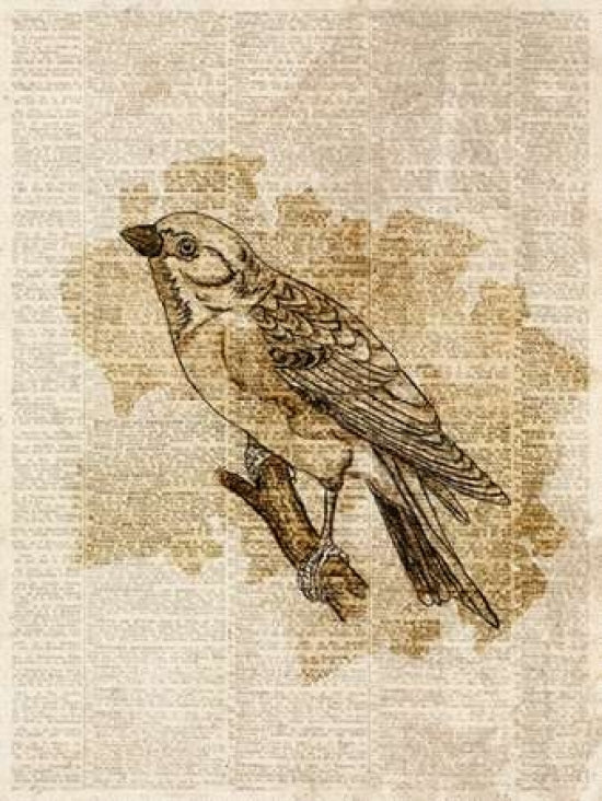 Vintage Bird I Poster Print by Sd Graphics Studio-VARPDX8768AA Image 1