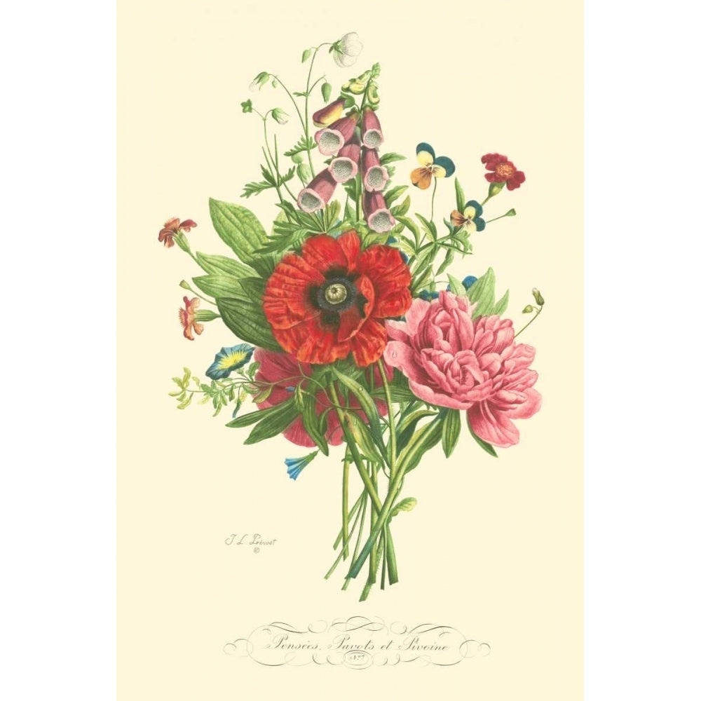 Plentiful Bouquet II Poster Print - T.L. Prevost-VARPDX87737Z Image 1