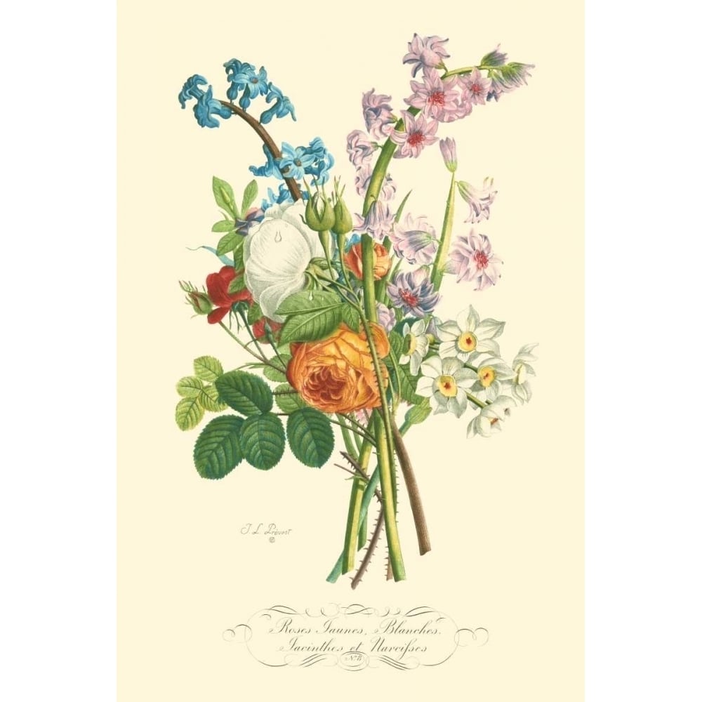 Plentiful Bouquet IV Poster Print - T.L. Prevost-VARPDX87739Z Image 1