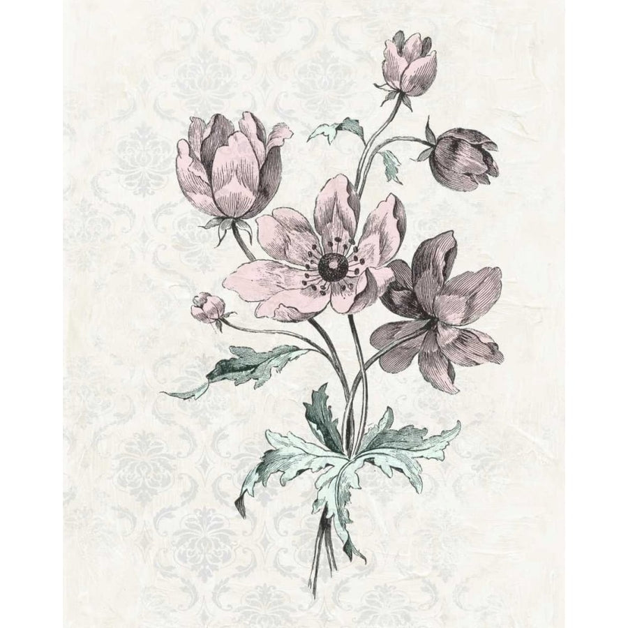 Victorian Blooms II Poster Print - Studio Vision-VARPDX87741Z Image 1