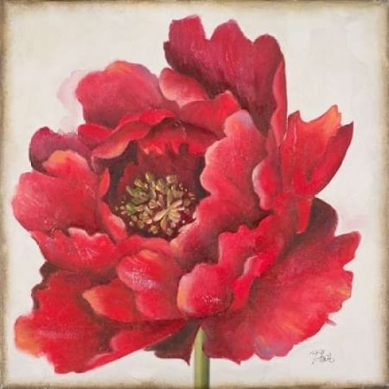 Red Peony Poster Print by Patricia Pinto-VARPDX8780 Image 2