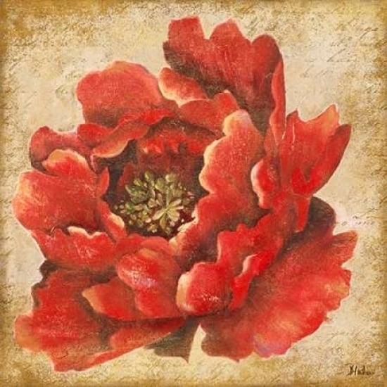 Red Peony on Gold Poster Print by Patricia Pinto-VARPDX8780A Image 1