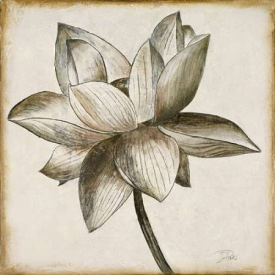 Sepia Lotus I Poster Print by Patricia Pinto-VARPDX8782 Image 1