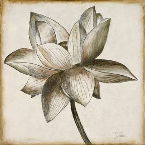 Sepia Lotus I Poster Print by Patricia Pinto-VARPDX8782 Image 2