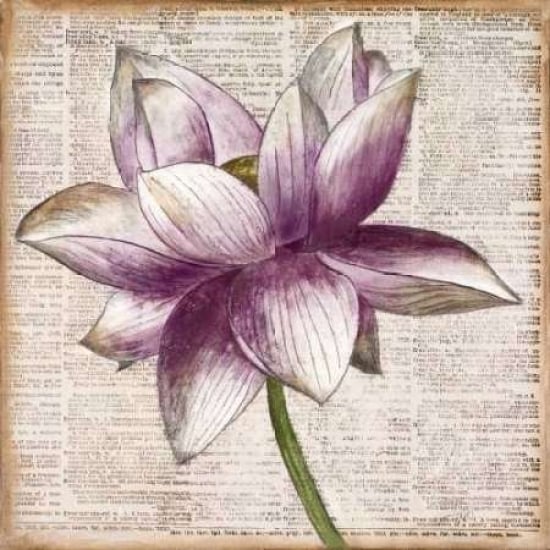 Defined Lotus I Poster Print by Patricia Pinto-VARPDX8782A Image 1