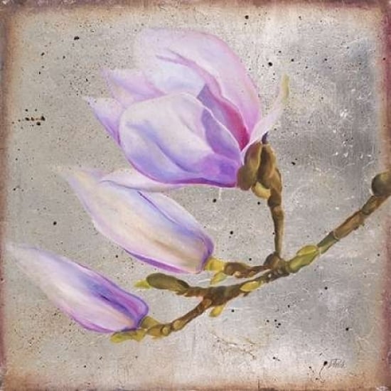 Magnolia on Silver Leaf I Poster Print by Patricia Pinto-VARPDX8782B Image 1