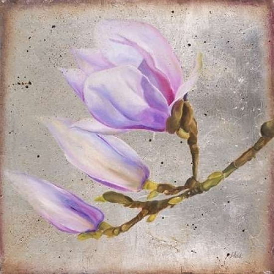 Magnolia on Silver Leaf I Poster Print by Patricia Pinto-VARPDX8782B Image 2