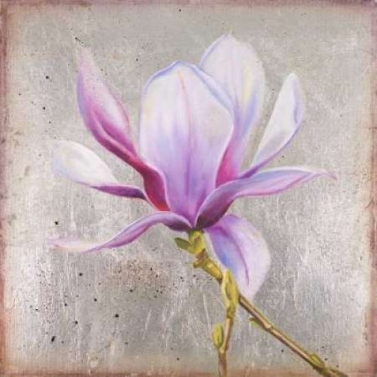 Magnolia on Silver Leaf II Poster Print by Patricia Pinto-VARPDX8783B Image 1