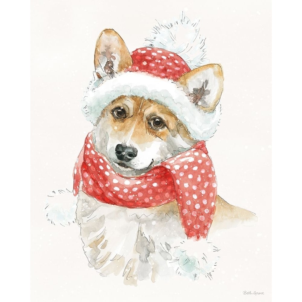 Winter Paws III Poster Print - Beth Grove-VARPDX88286 Image 1