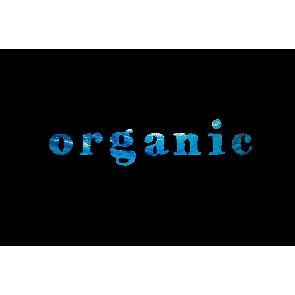 Organic 2 Poster Print - ArtLab GI-VARPDX88353 Image 1