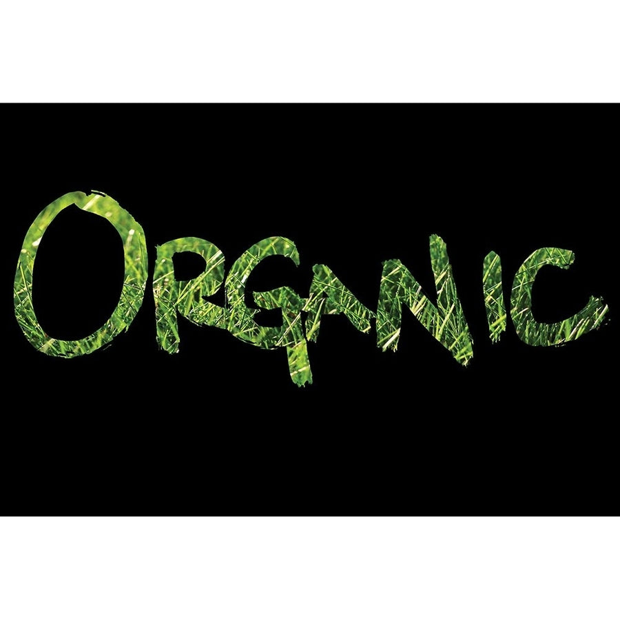 Organic 1 Poster Print - ArtLab GI-VARPDX88352 Image 1