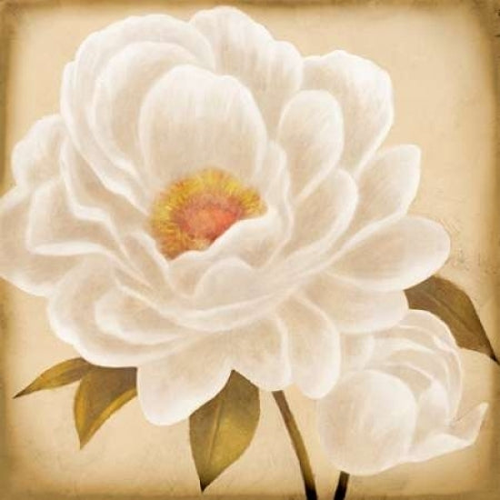 White Peonies I Poster Print by Vivien Rhyan-VARPDX8856A Image 1