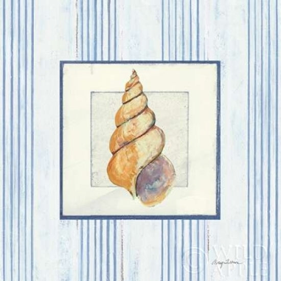 Sanibel Shell II Poster Print by Avery Tillmon-VARPDX8913 Image 1