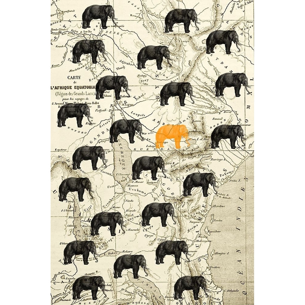 Where the Elephant Roam Poster Print - ArtLab GI-VARPDX89201 Image 1