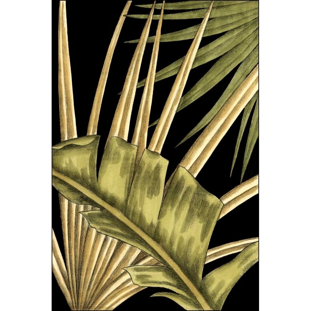 Rustic Tropical Leaves III Poster Print - Ethan Harper-VARPDX89350Z Image 1