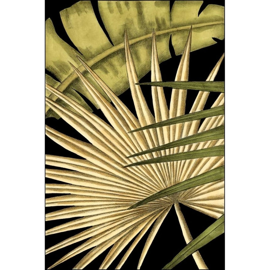 Rustic Tropical Leaves I Poster Print - Ethan Harper-VARPDX89348Z Image 1