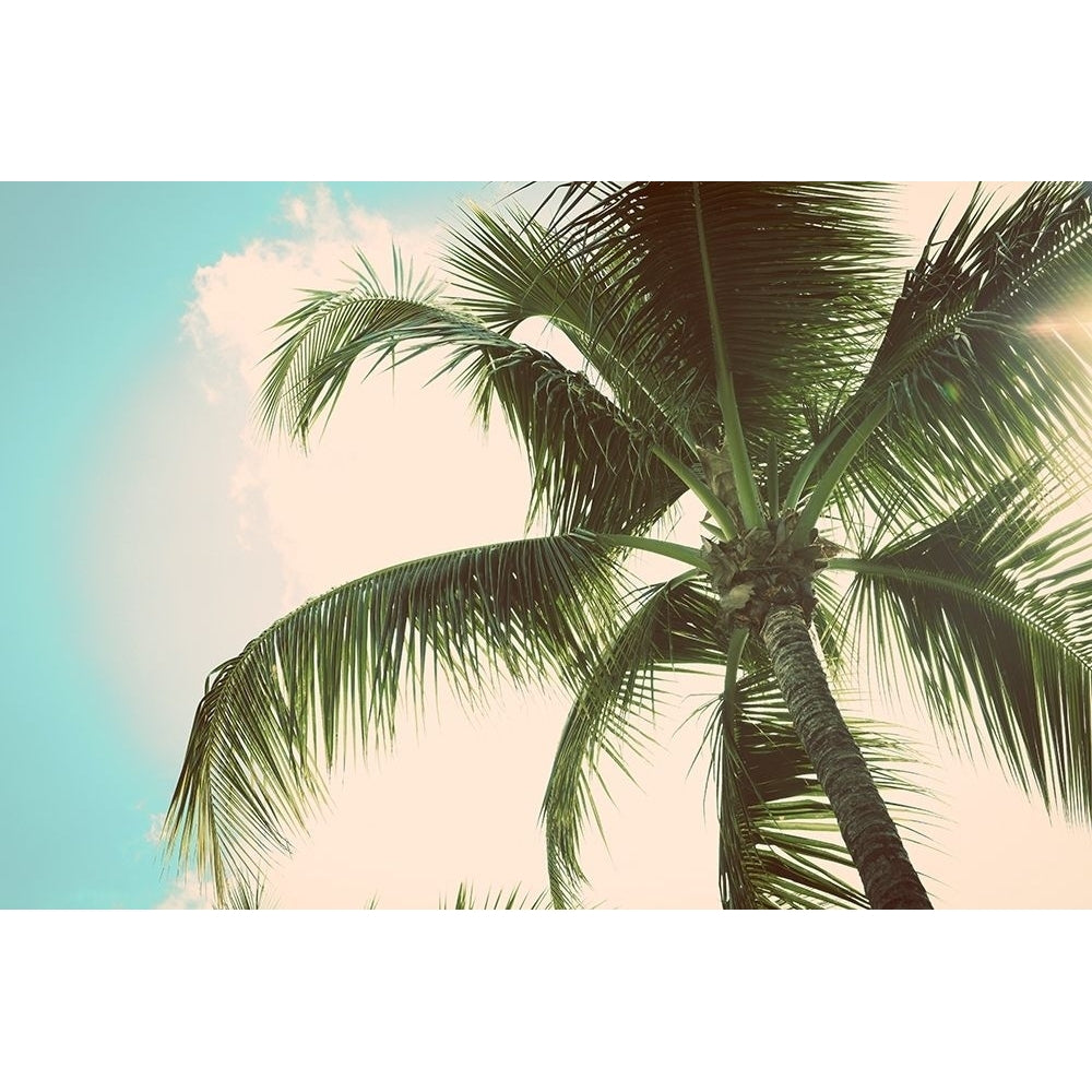 Palm Scene II Poster Print by Susan Bryant-VARPDX8953E Image 1