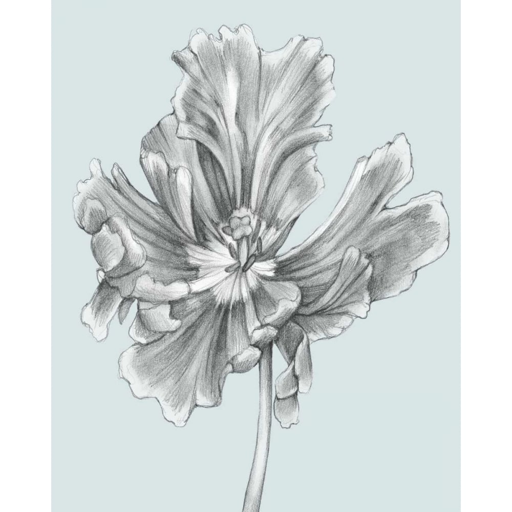 Silvery Blue Tulips III Poster Print - Jennifer Goldberger-VARPDX89814Z Image 1