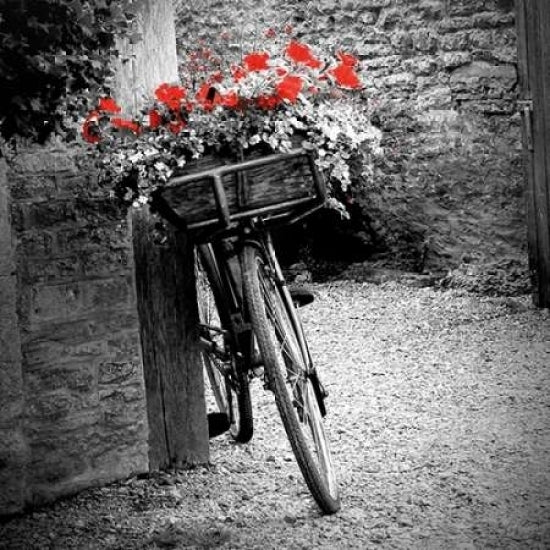 Flower Bike Square Poster Print by Gail Peck-VARPDX9002D Image 2