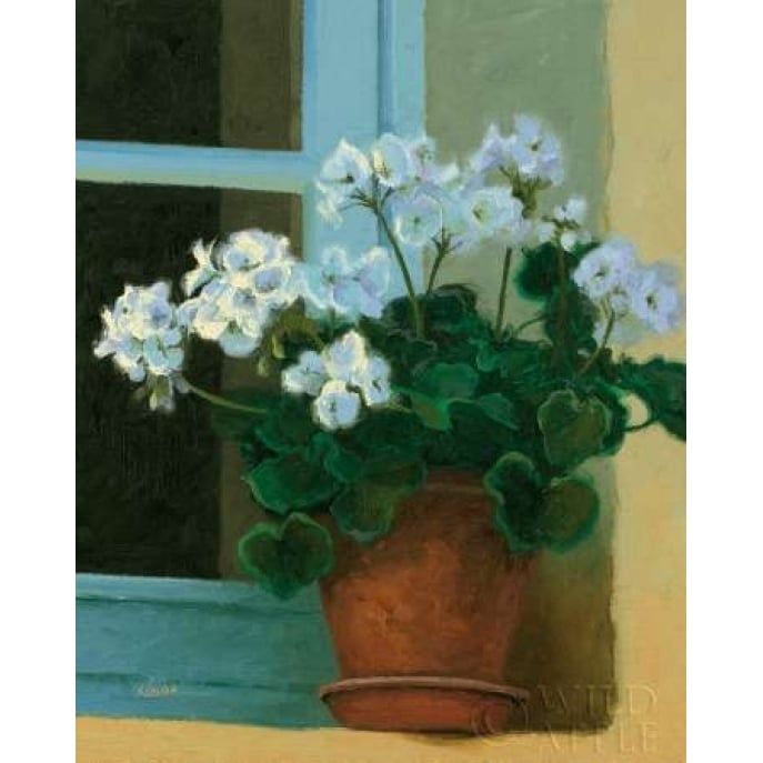 Creancey Geraniums II Poster Print by Shirley Novak-VARPDX9014 Image 1