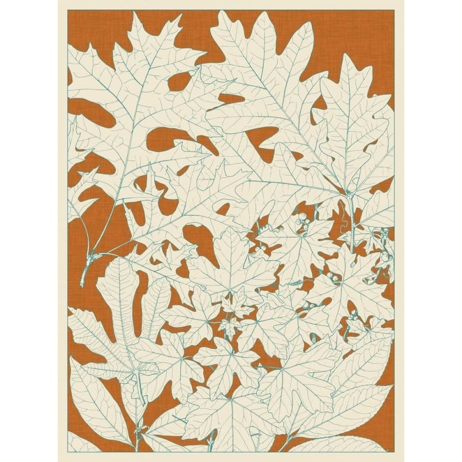 Leaves from Nature II Poster Print - Studio Vision-VARPDX90333Z Image 1