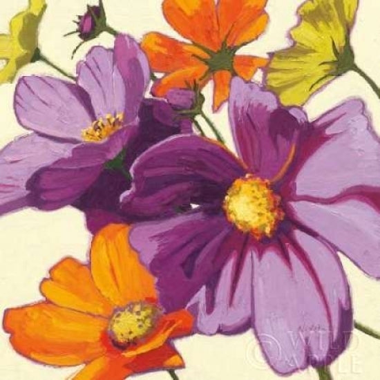 Cosmos II Poster Print by Shirley Novak-VARPDX9064 Image 1