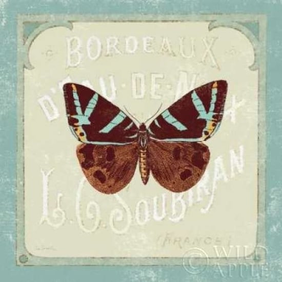 Parisian Butterfly II Poster Print by Sue Schlabach-VARPDX9078 Image 1