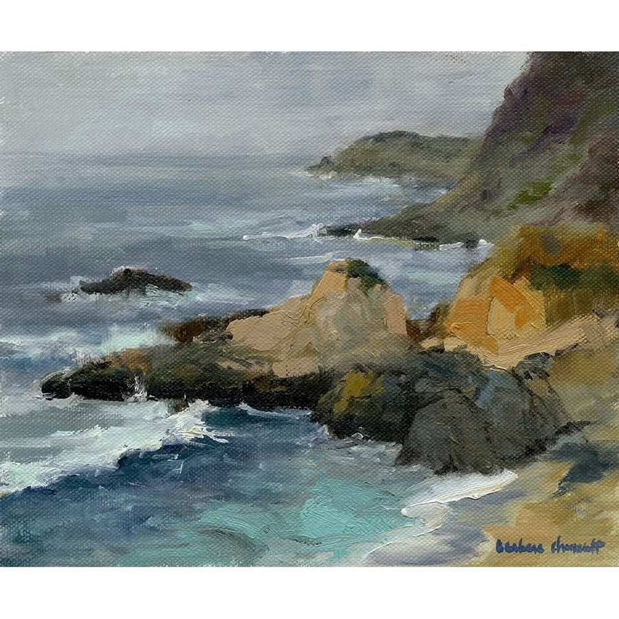 Bodega Head Poster Print - Barbara Chenault-VARPDX90802Z Image 1