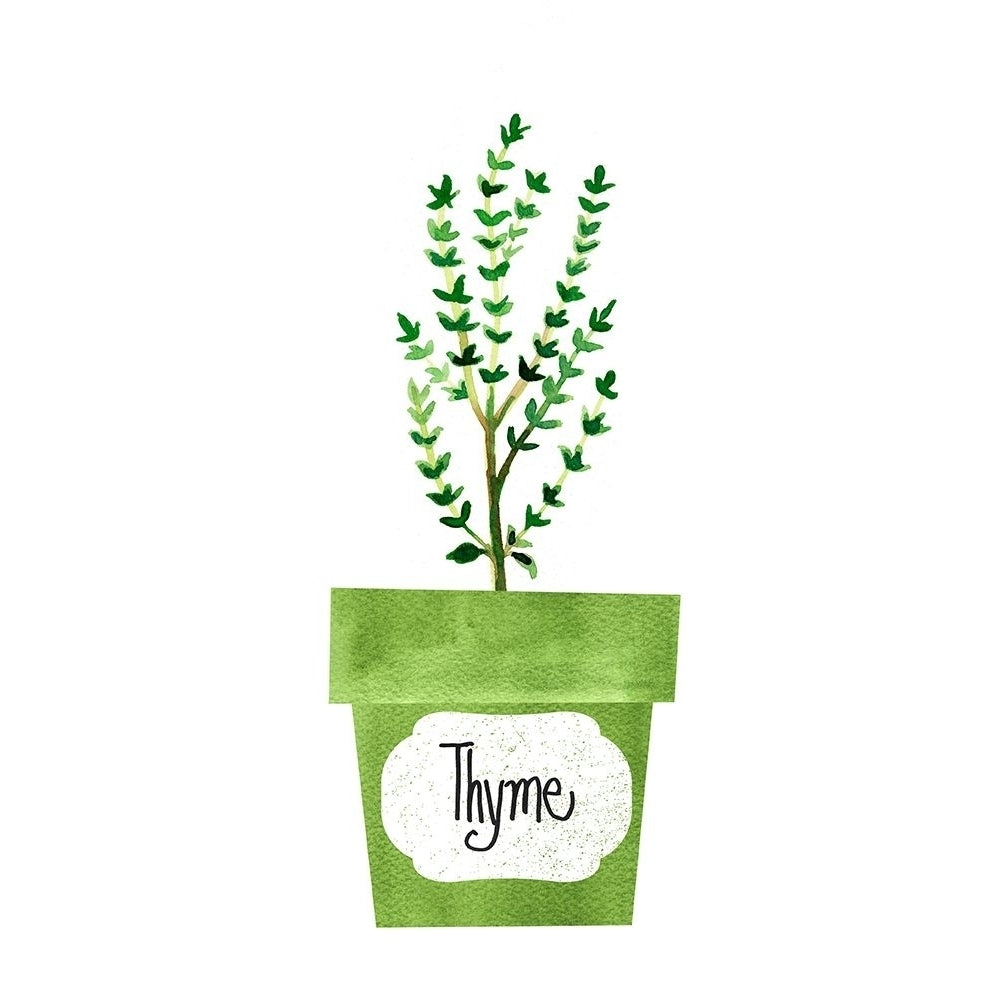 Thyme Pot Poster Print by Bella Dos Santos-VARPDX907DOS1782 Image 1