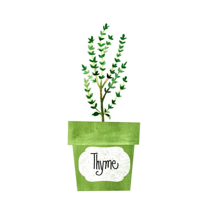 Thyme Pot Poster Print by Bella Dos Santos-VARPDX907DOS1782 Image 1