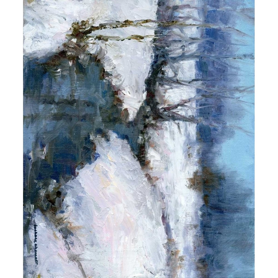 Winter White Poster Print - Barbara Chenault-VARPDX90808Z Image 1